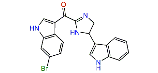Spongotine B